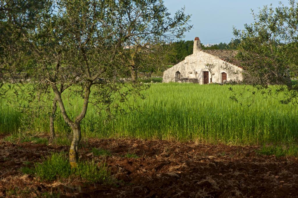 Masseria Ciavea Gioia Del Colle Exterior foto